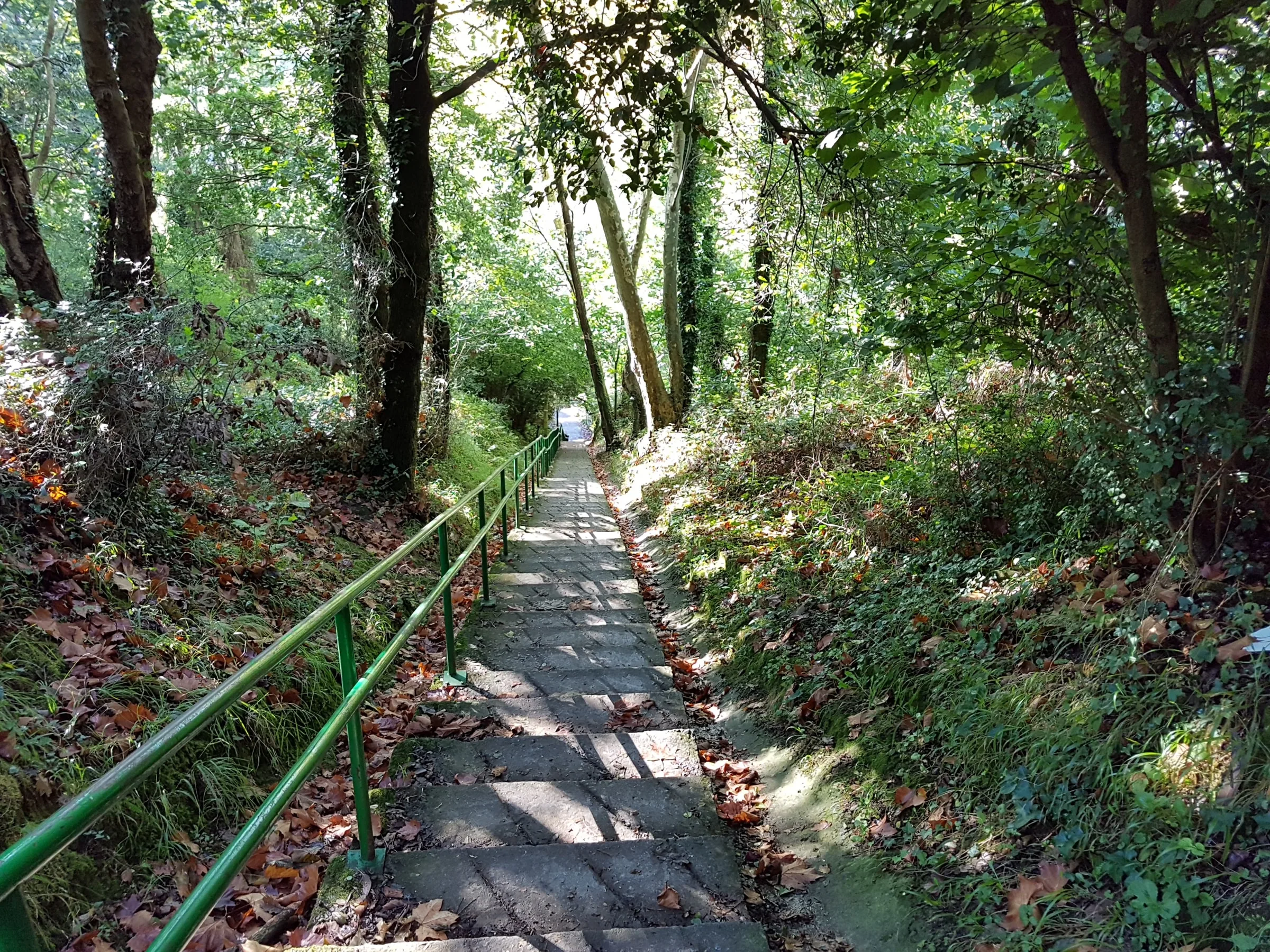 Escalera del paseo por el bosque hacia los acantilados de Cobarón