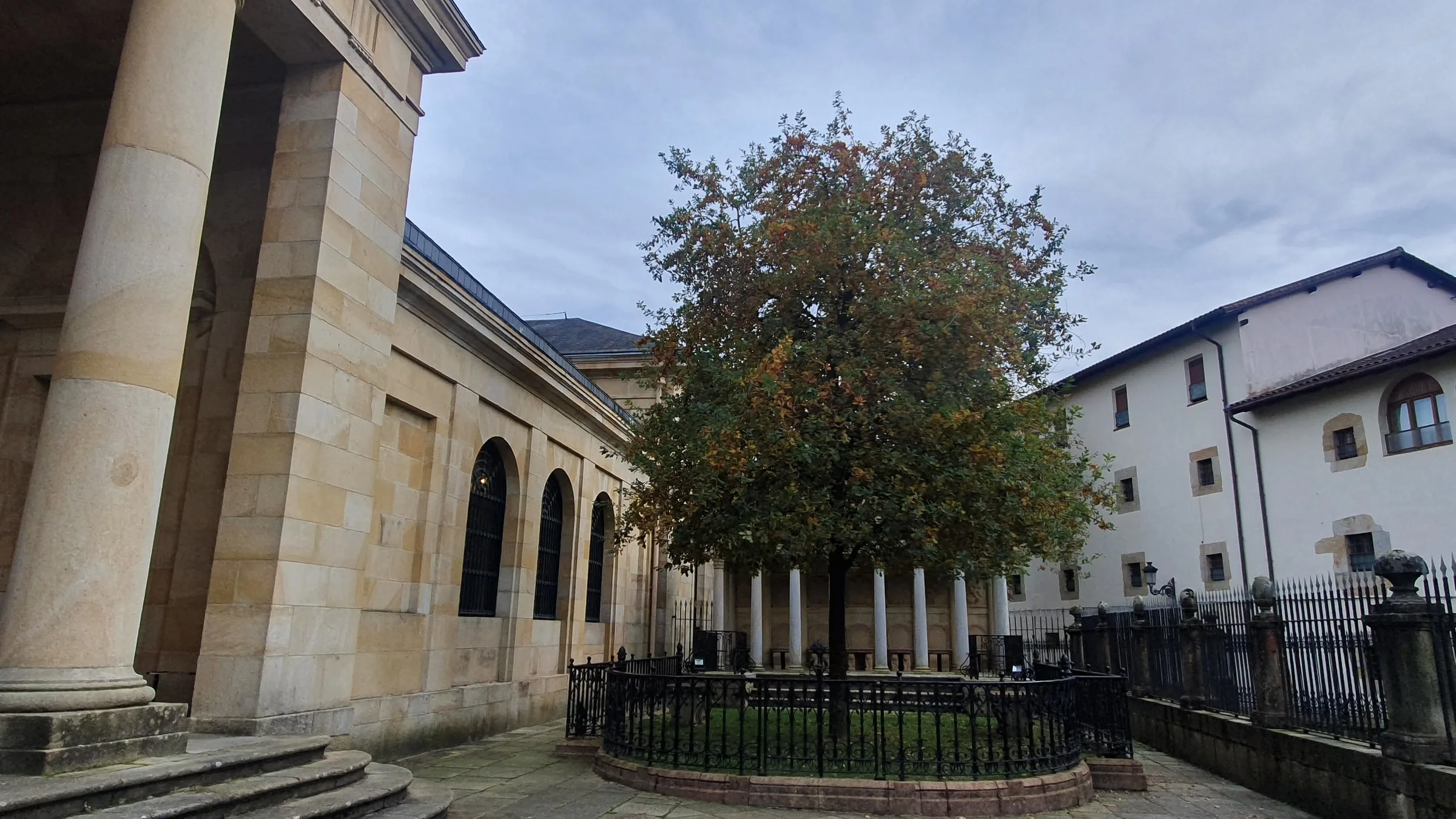 Árbol de Gernika junto a la Casa de Juntas