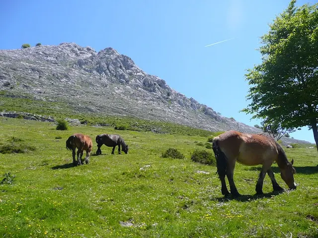 Caballos pastando bajo las montañas de Urkiola