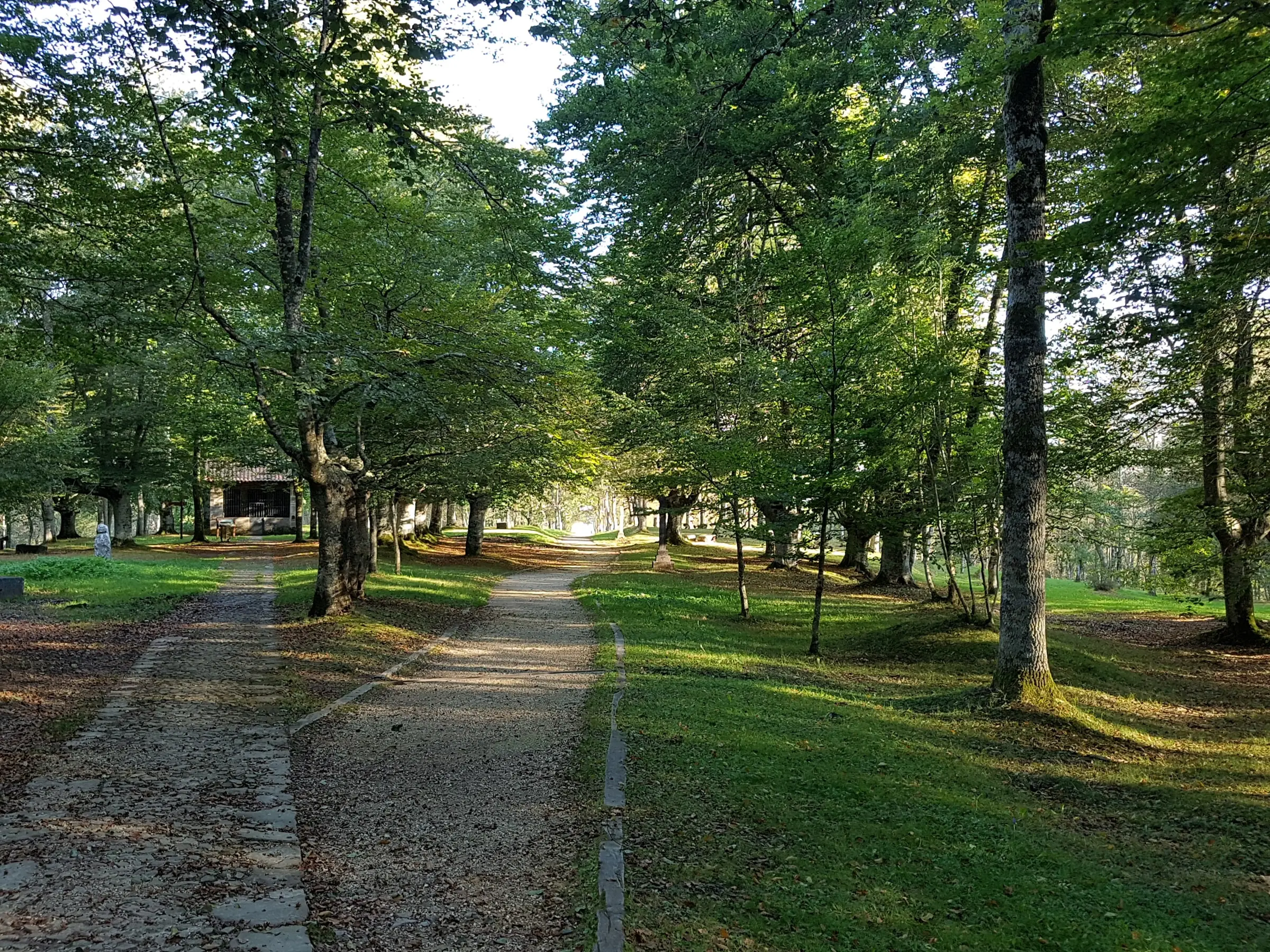 Camino entre árboles en el alto de Urkiola